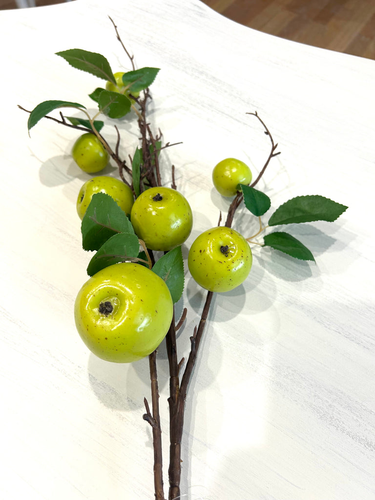 Long Stem Apples