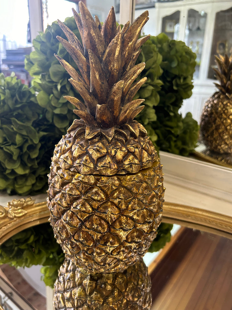 Pineapple Container