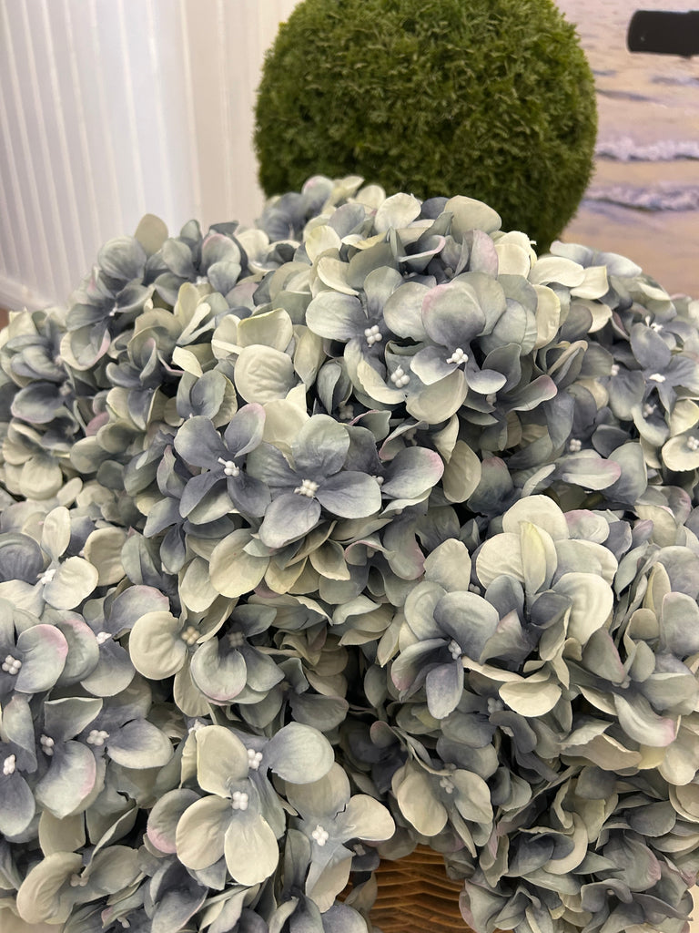Pale Blue Hydrangea 5 head Stem