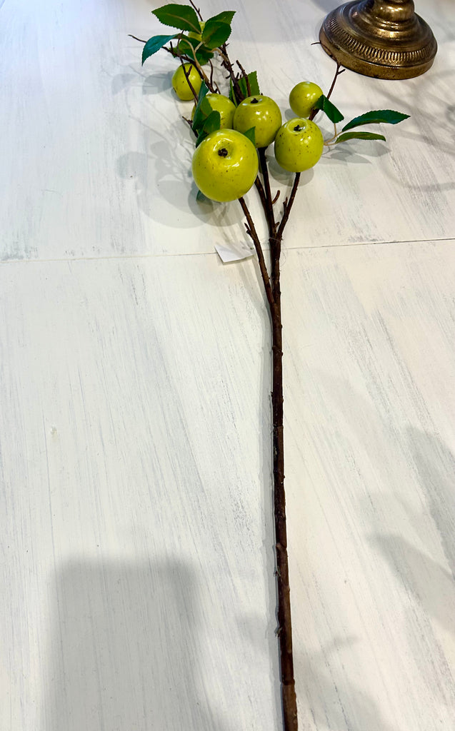 Long Stem Apples