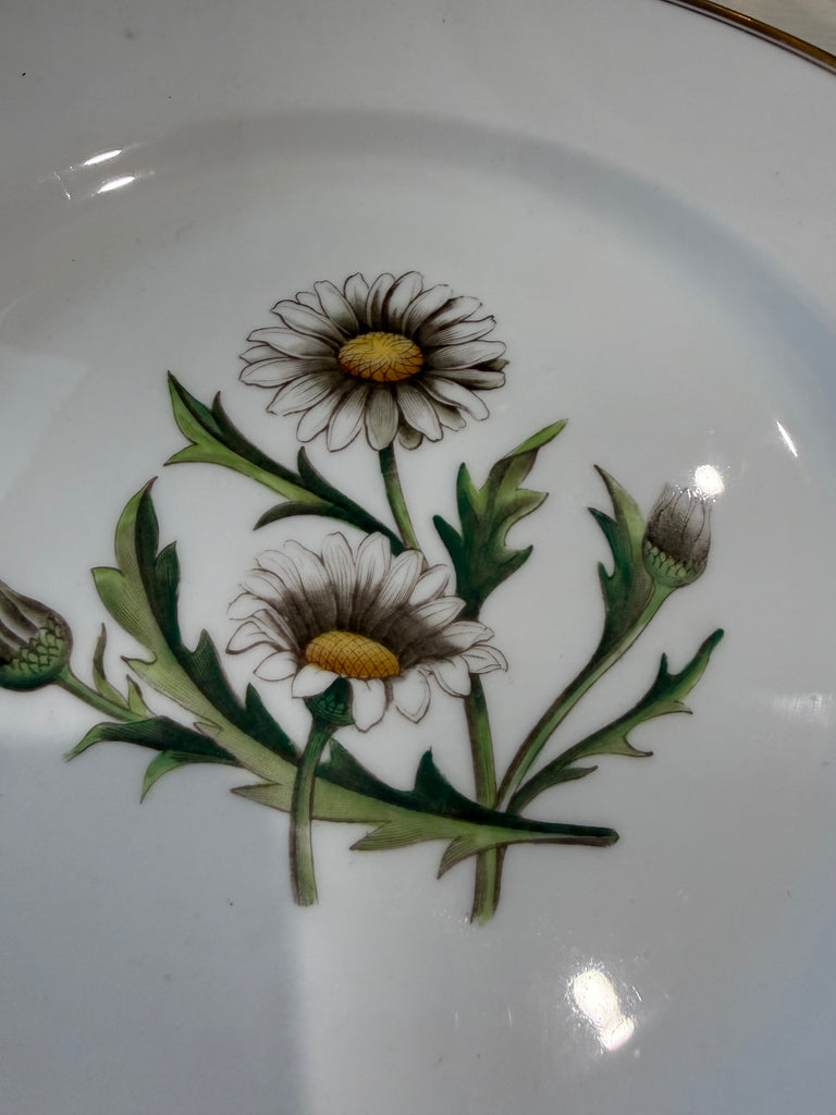 Vintage c.1950s Royal Worcester A.H. Williamson “Daisy” Botanical Dinner Plate – England