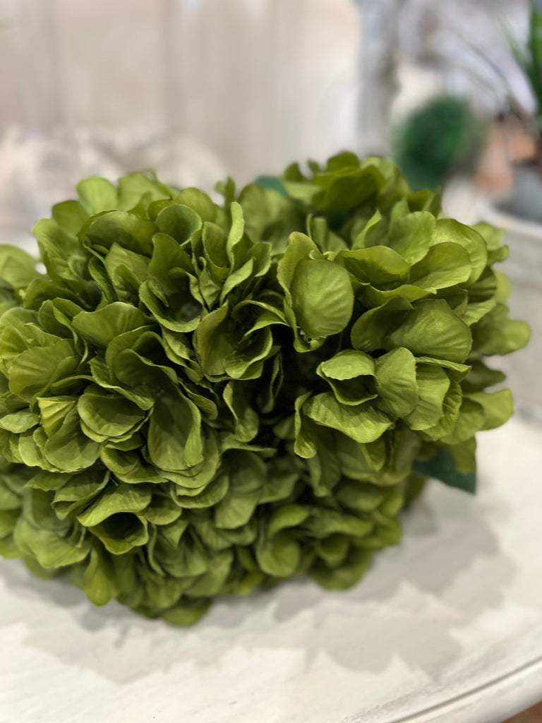 Green Hydrangea