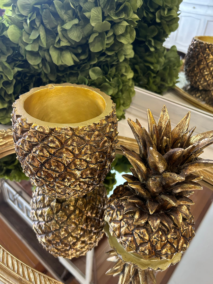 Pineapple Container