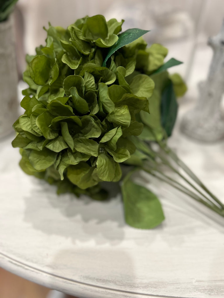 Green Hydrangea