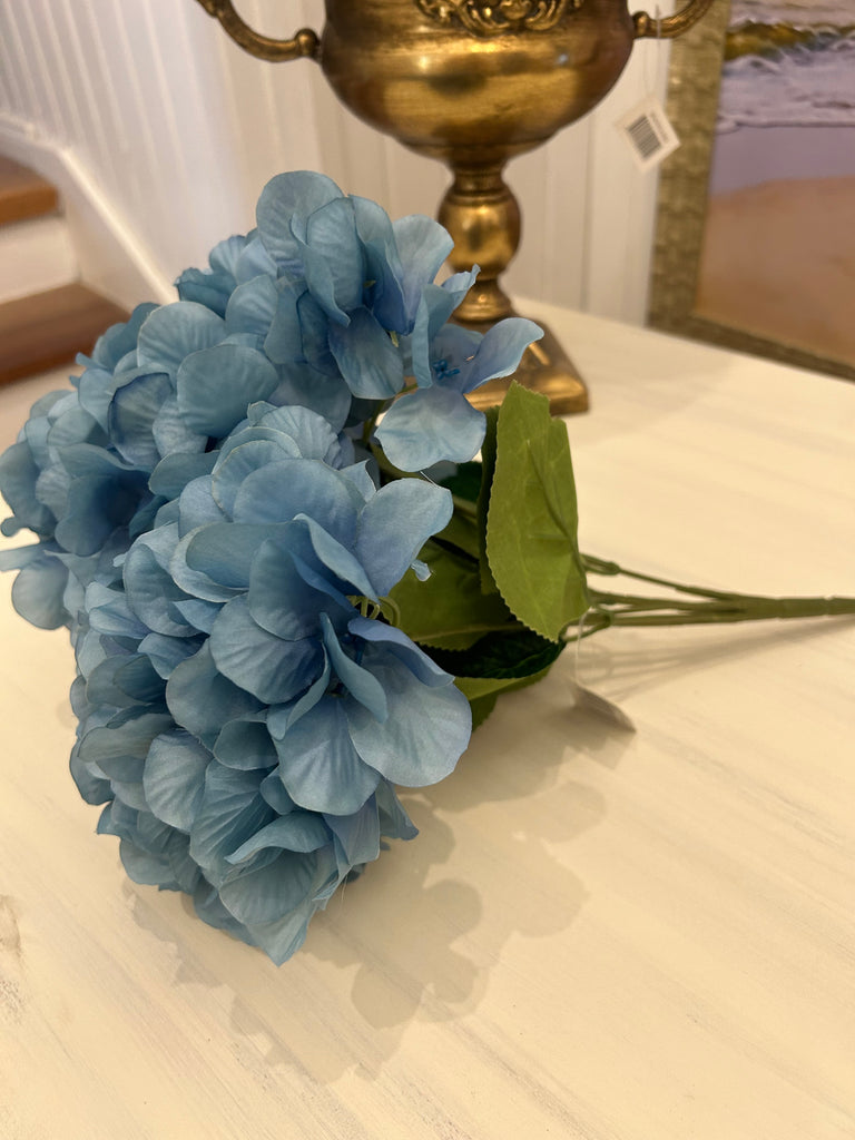 Blue Hydrangeas with 5 heads