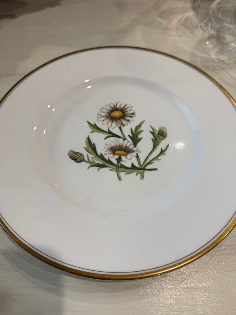 Vintage c.1950s Royal Worcester A.H. Williamson “Daisy” Botanical Dinner Plate – England