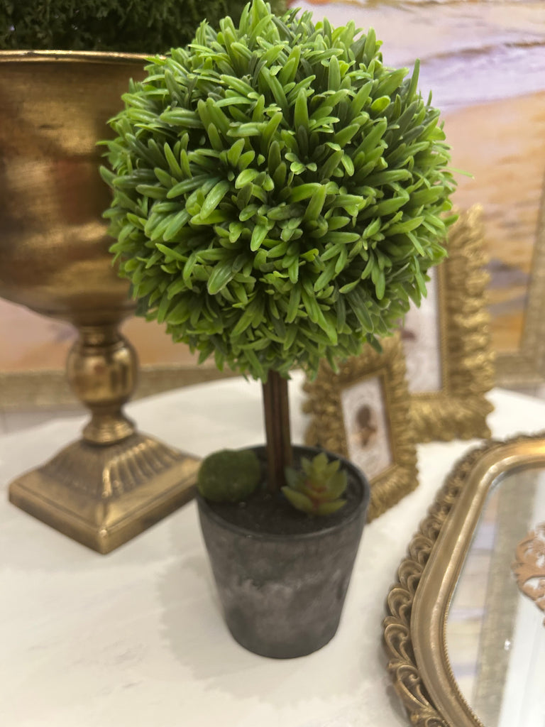 Small Topiary Tree