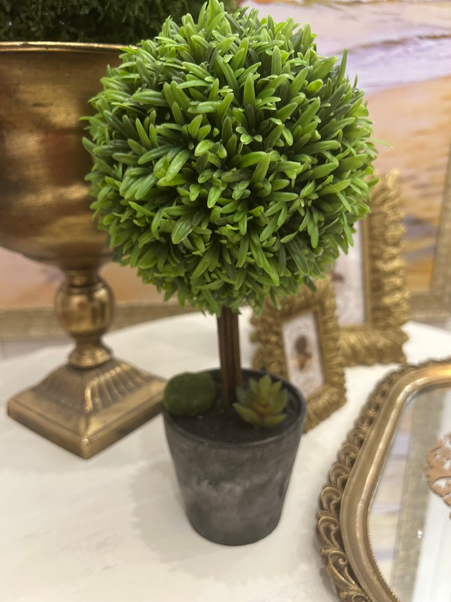 Small Topiary Tree