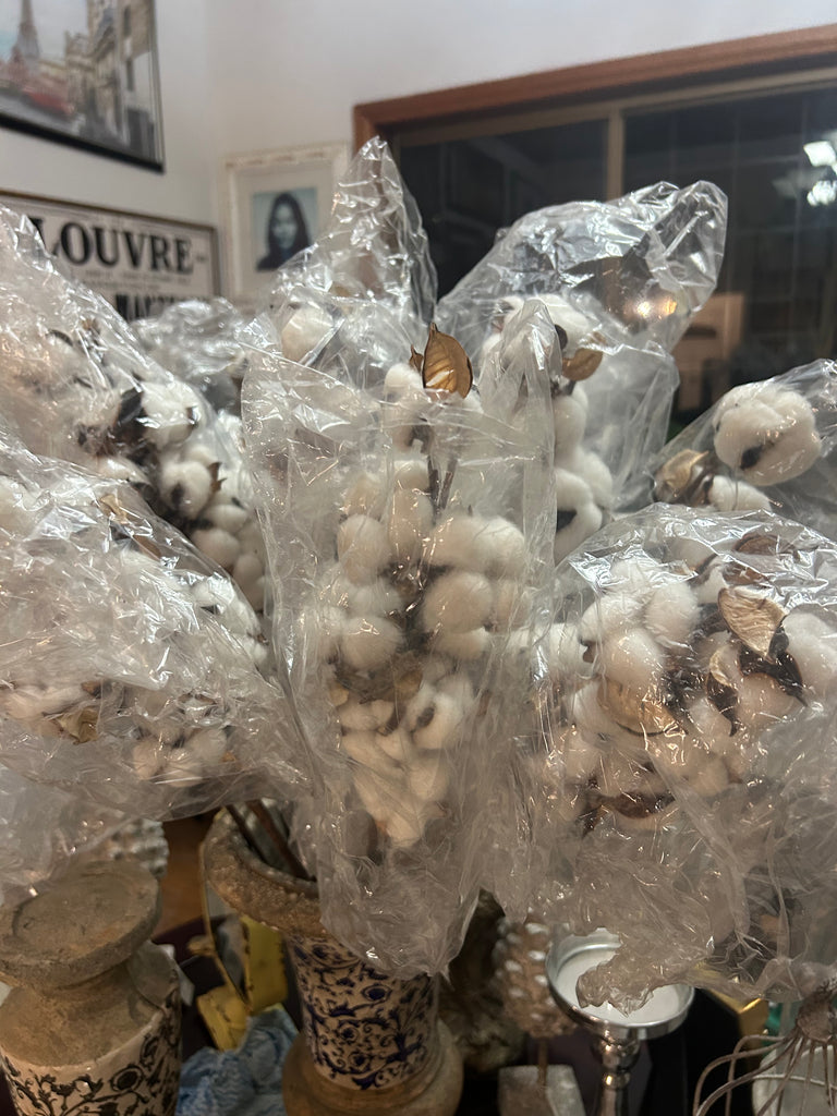 Cotton Flower Stem