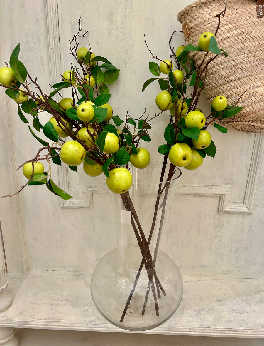 Long Stem Apples