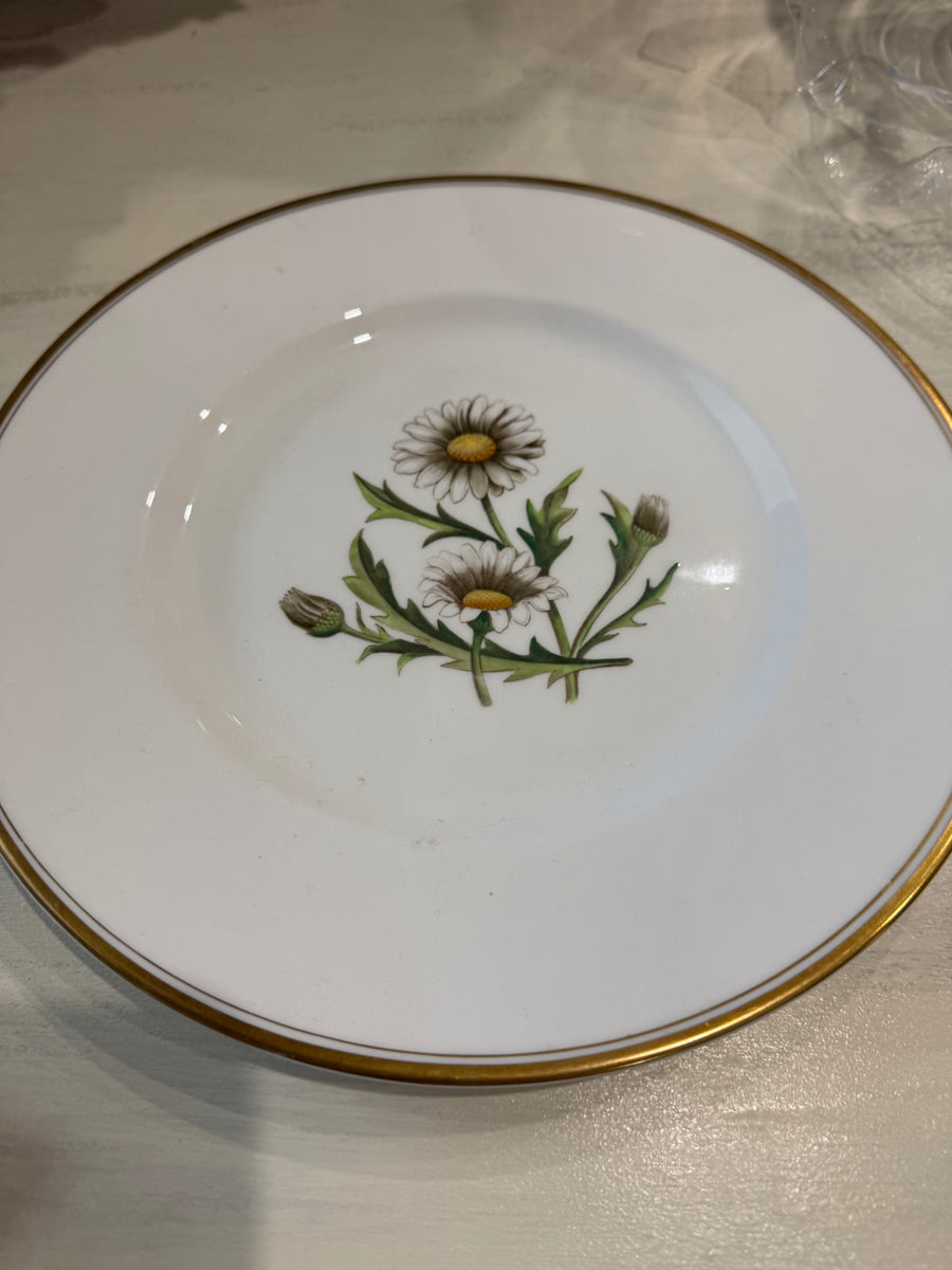 Vintage c.1950s Royal Worcester A.H. Williamson “Daisy” Botanical Dinner Plate – England