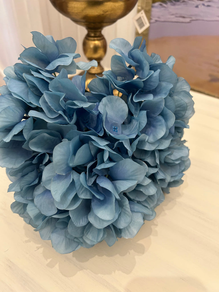 Blue Hydrangeas with 5 heads