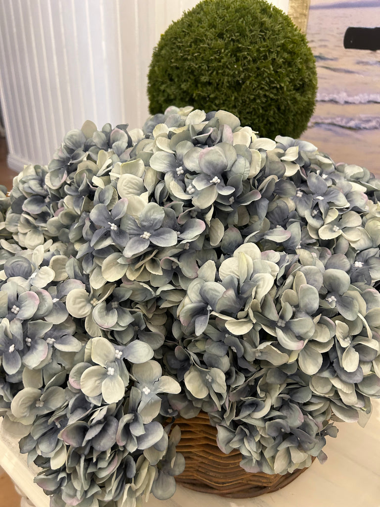 Pale Blue Hydrangea 5 head Stem