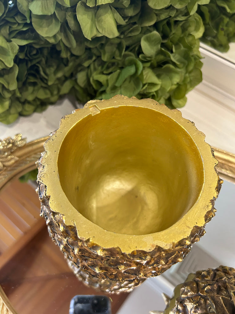 Pineapple Container