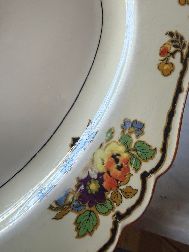 1900s John Maddock & Sons plate