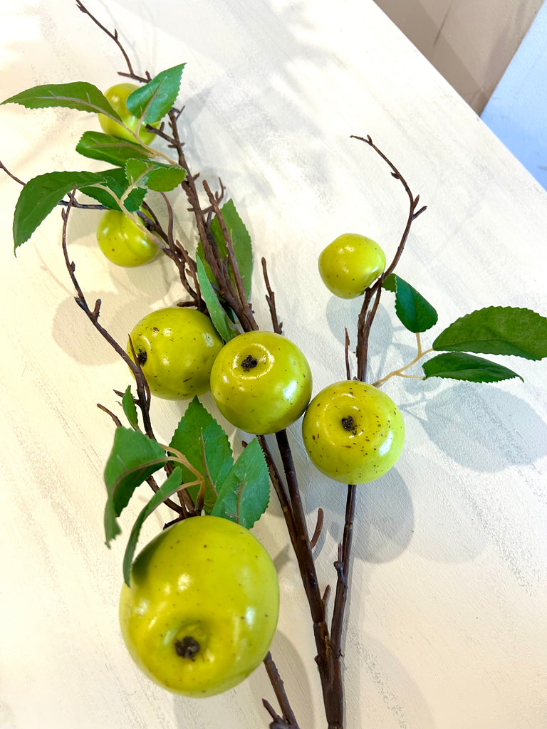 Long Stem Apples