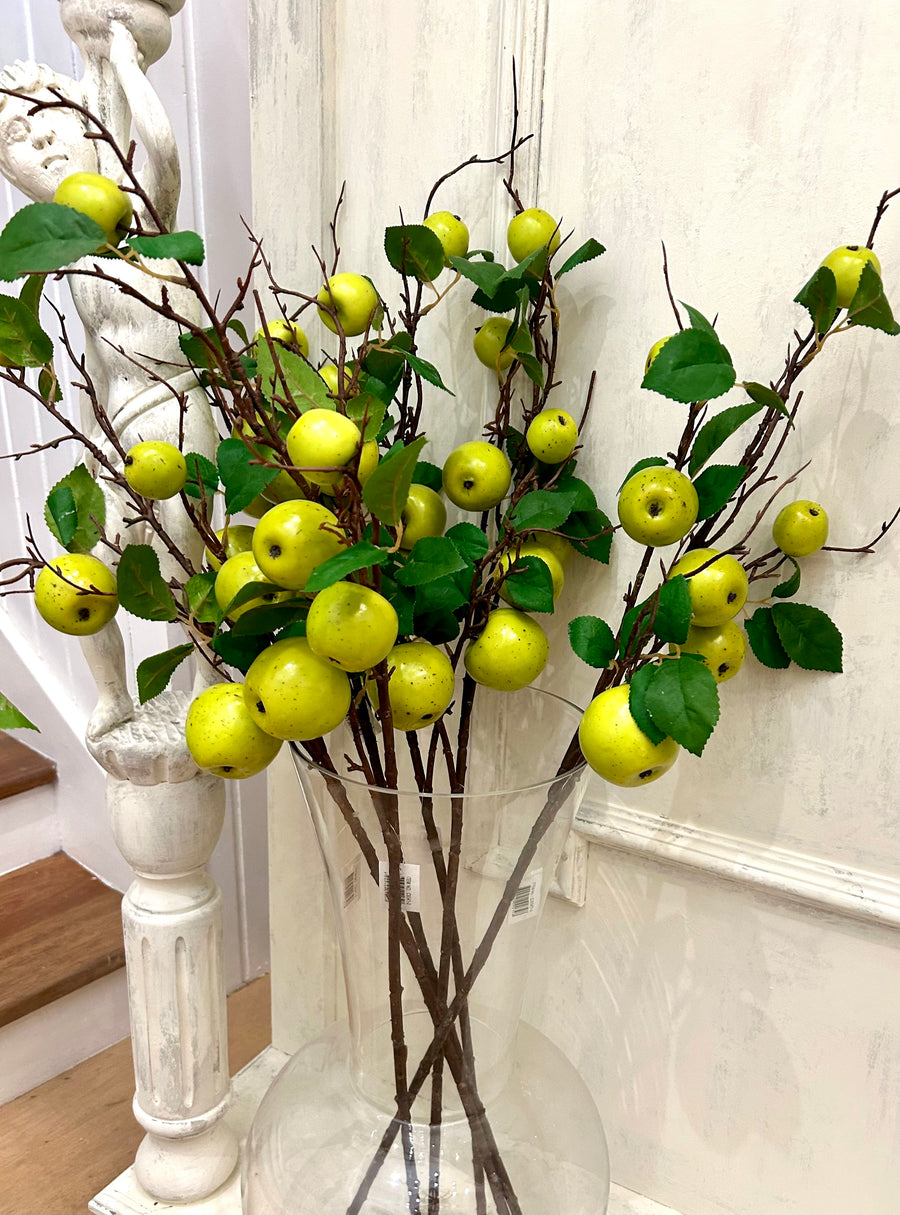 Long Stem Apples