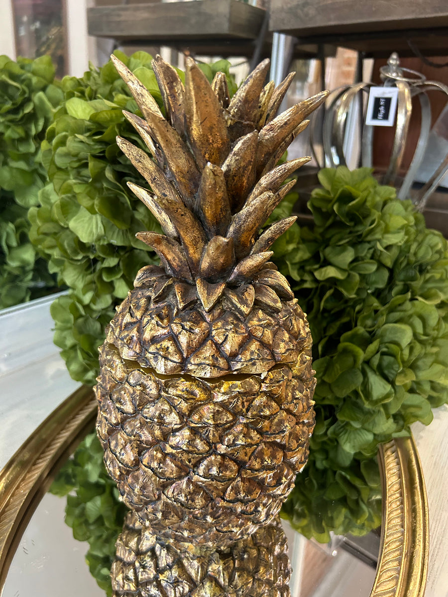 Pineapple Container