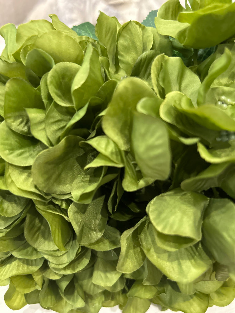 Green Hydrangea