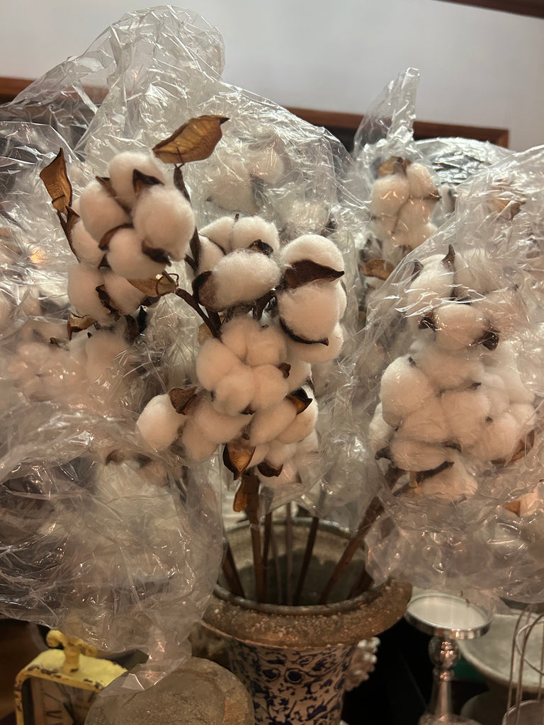 Cotton Flower Stem