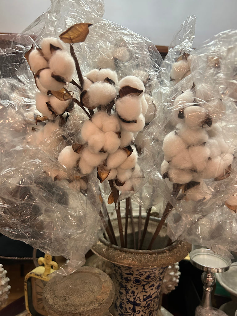 Cotton Flower Stem