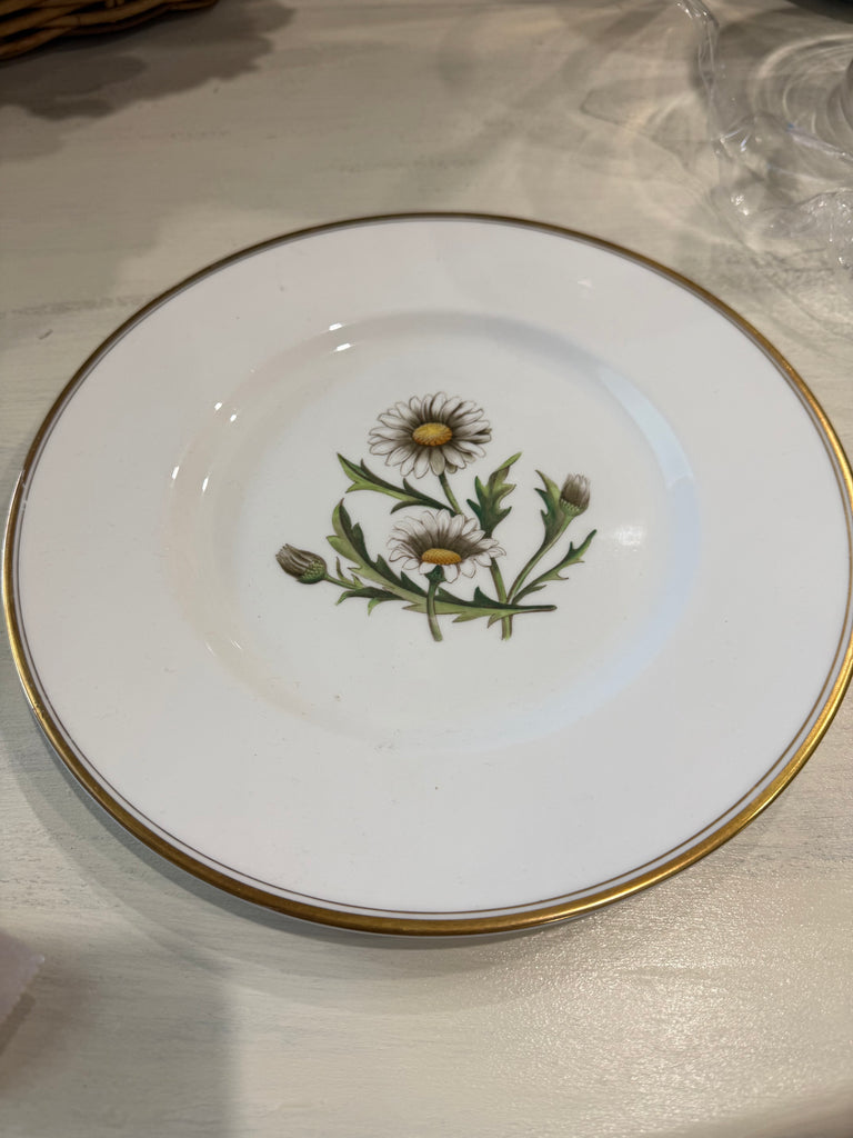 Vintage c.1950s Royal Worcester A.H. Williamson “Daisy” Botanical Dinner Plate – England