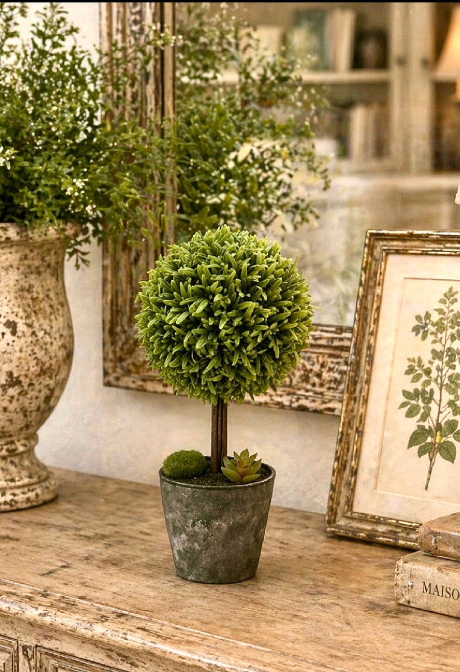 Small Topiary Tree