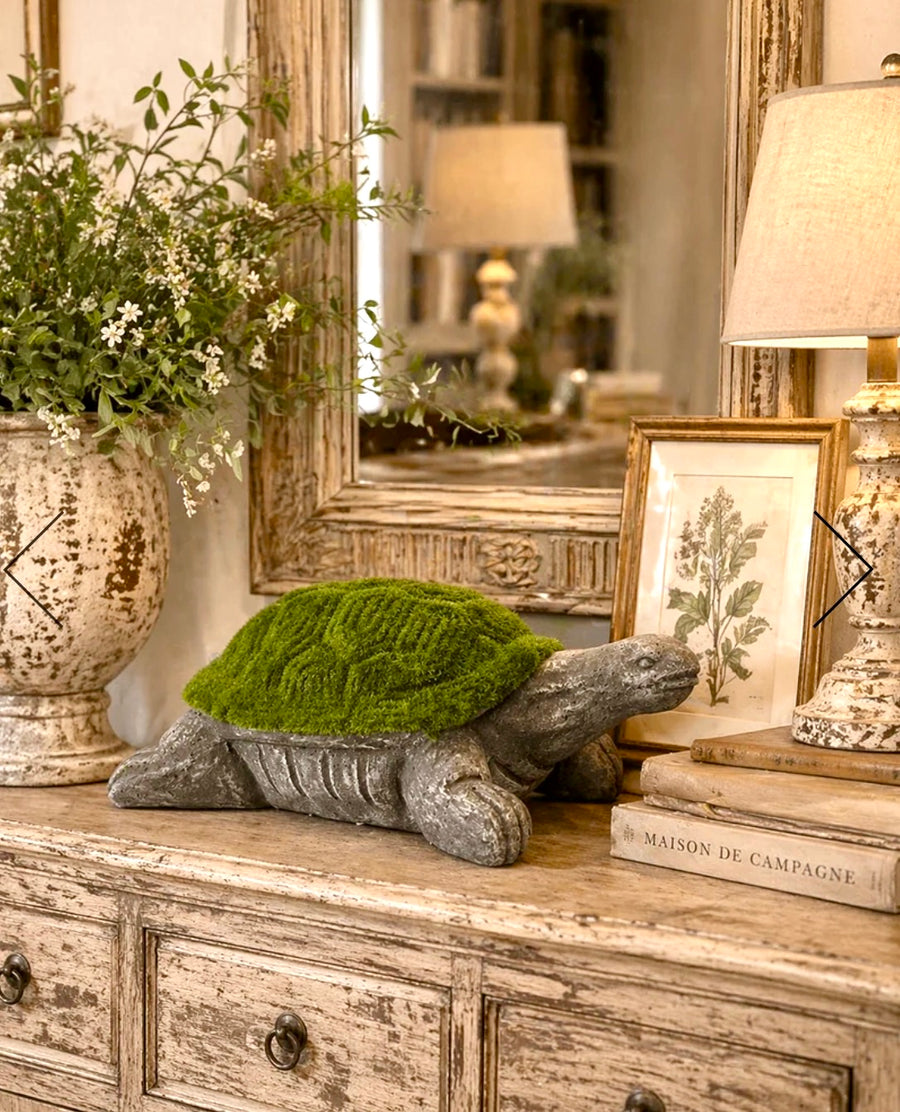 Moss on Turtle