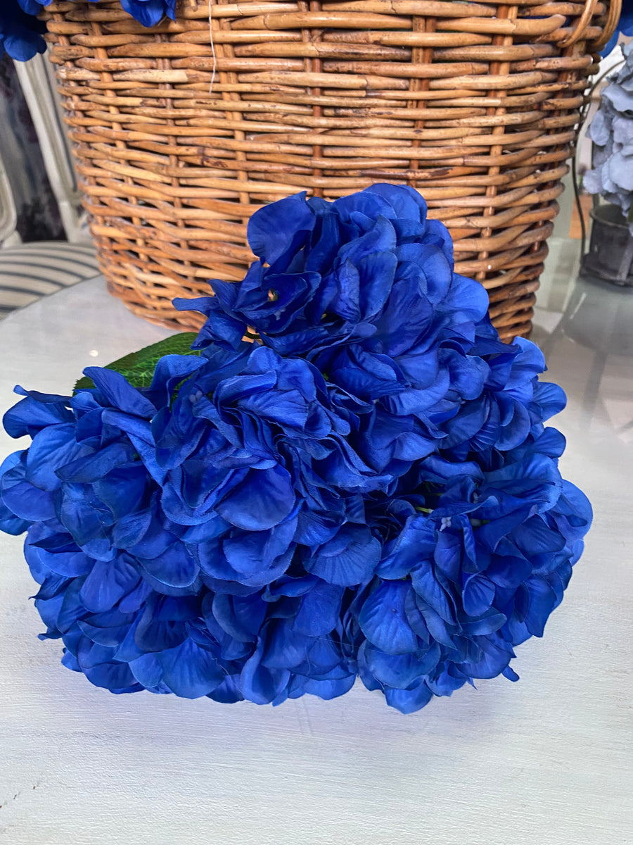 Dark Blue Hydrangeas