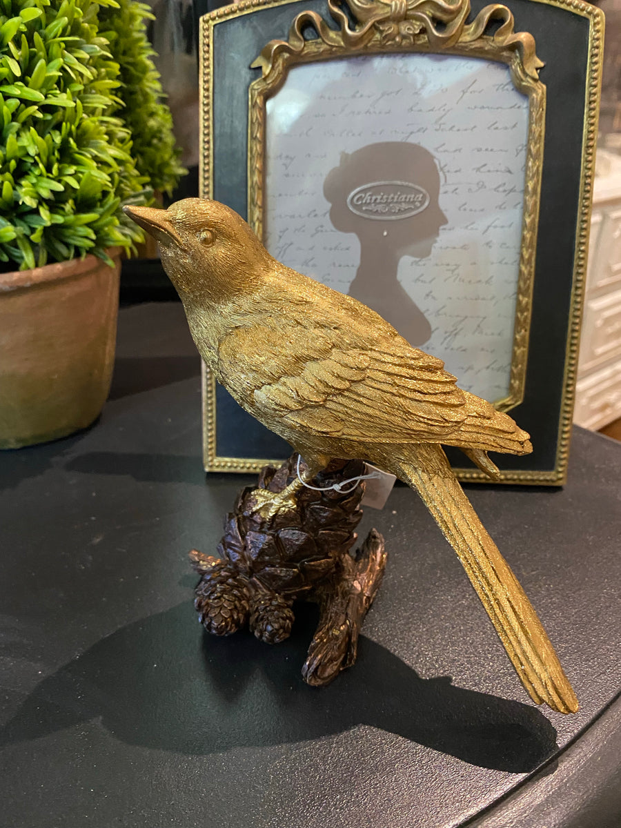 Small Bird on Pinecone