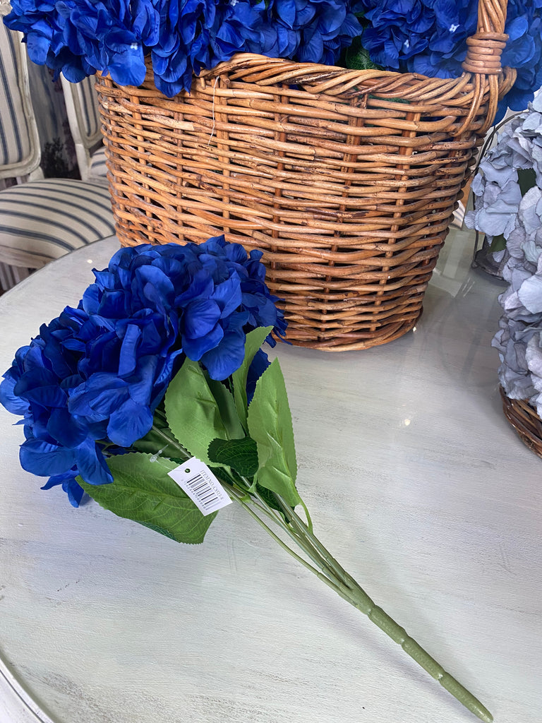 Dark Blue Hydrangeas
