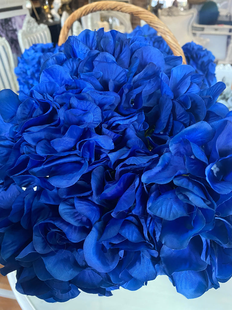 Dark Blue Hydrangeas