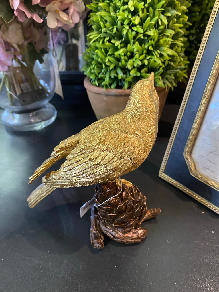 Small Bird on Pinecone