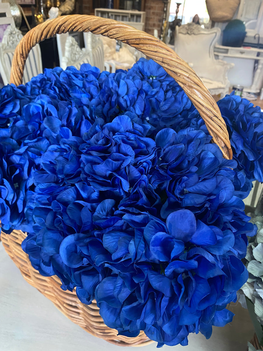 Dark Blue Hydrangeas