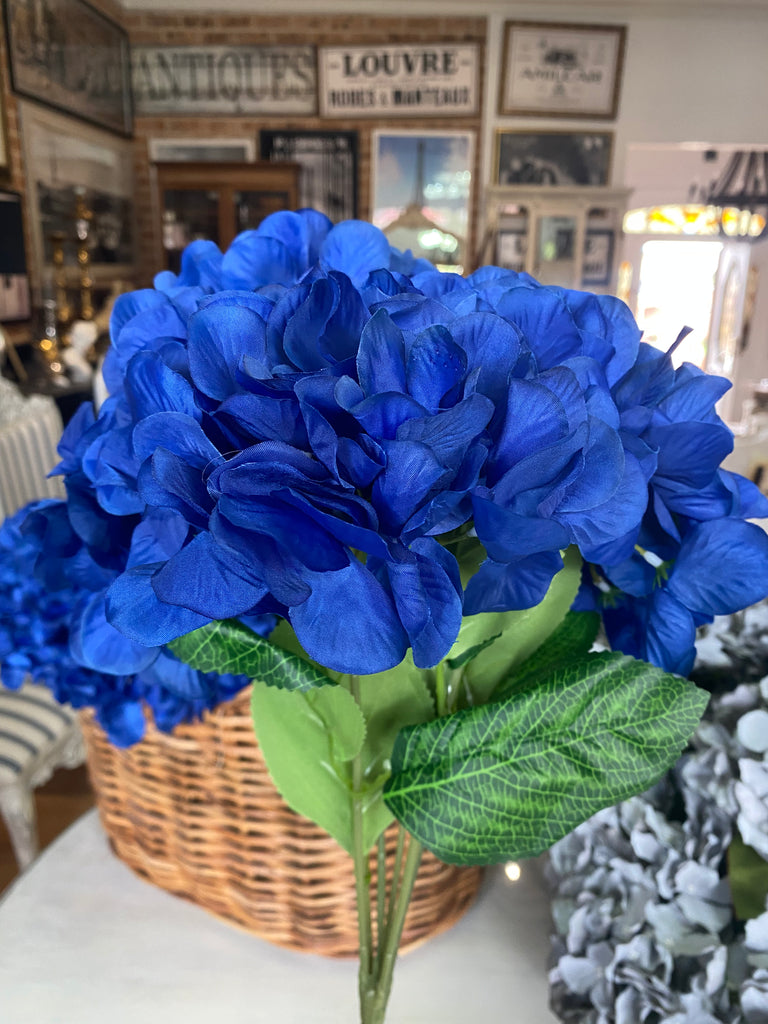 Dark Blue Hydrangeas
