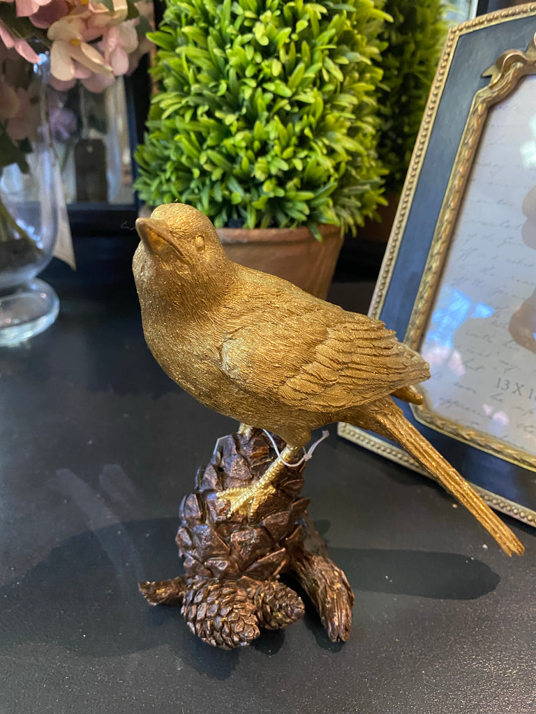 Small Bird on Pinecone